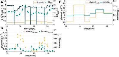 Reducing Organic Load From Industrial Residual Process Brine With a Novel Halophilic Mixed Culture: Scale-Up and Long-Term Piloting of an Integrated Bioprocess